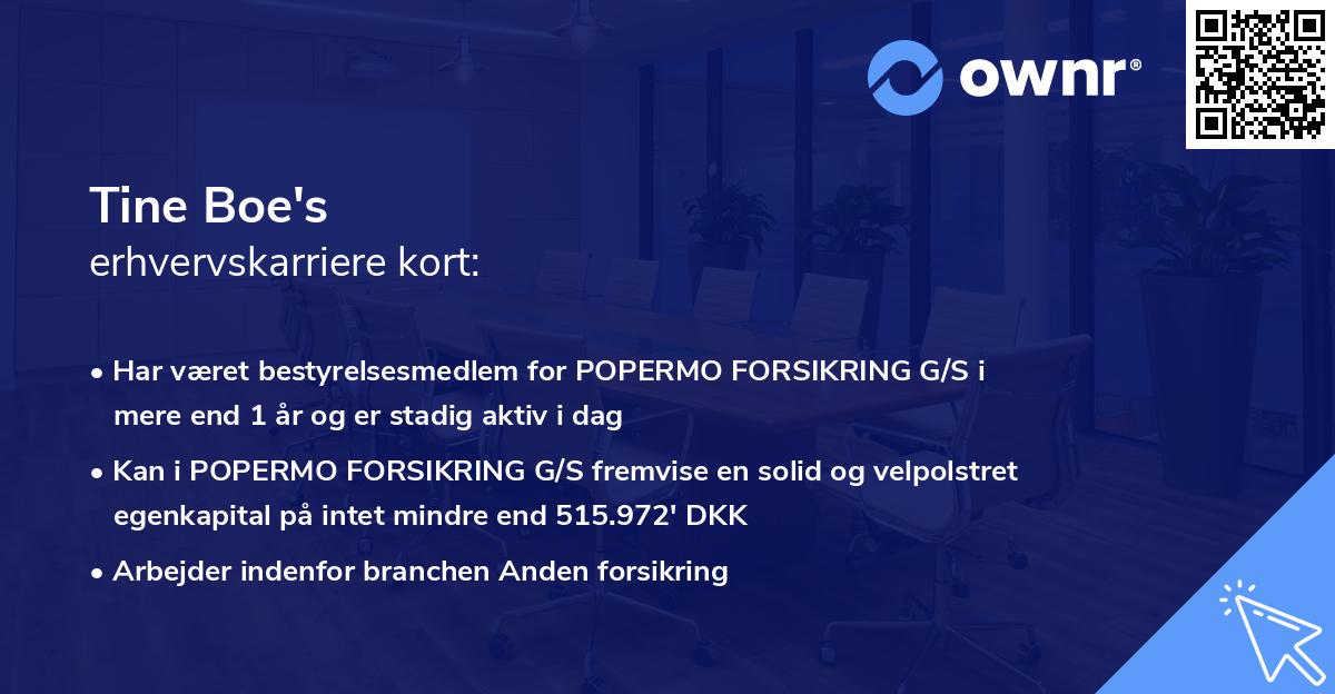 Tine Boe's erhvervskarriere kort