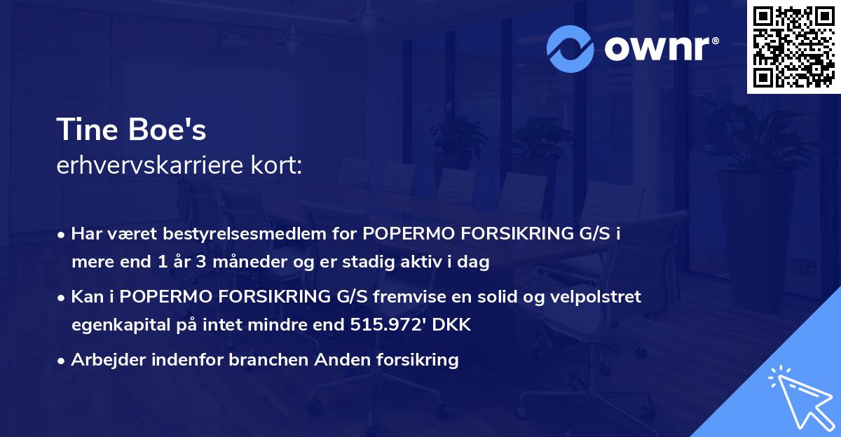 Tine Boe's erhvervskarriere kort