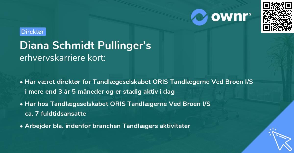 Diana Schmidt Pullinger's erhvervskarriere kort