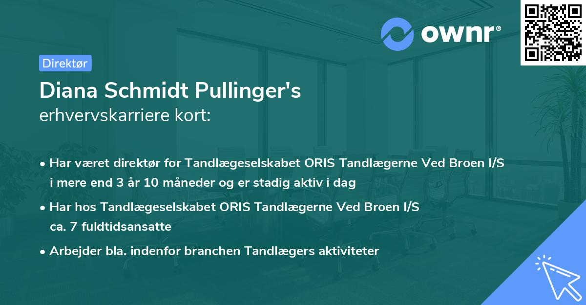 Diana Schmidt Pullinger's erhvervskarriere kort