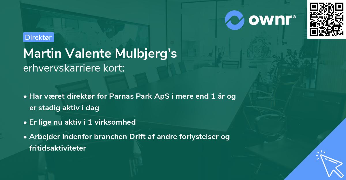 Martin Valente Mulbjerg's erhvervskarriere kort