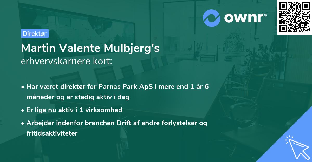 Martin Valente Mulbjerg's erhvervskarriere kort