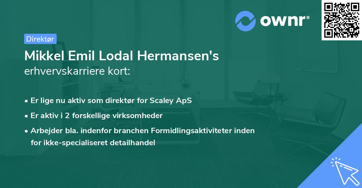 Mikkel Emil Lodal Hermansen's erhvervskarriere kort