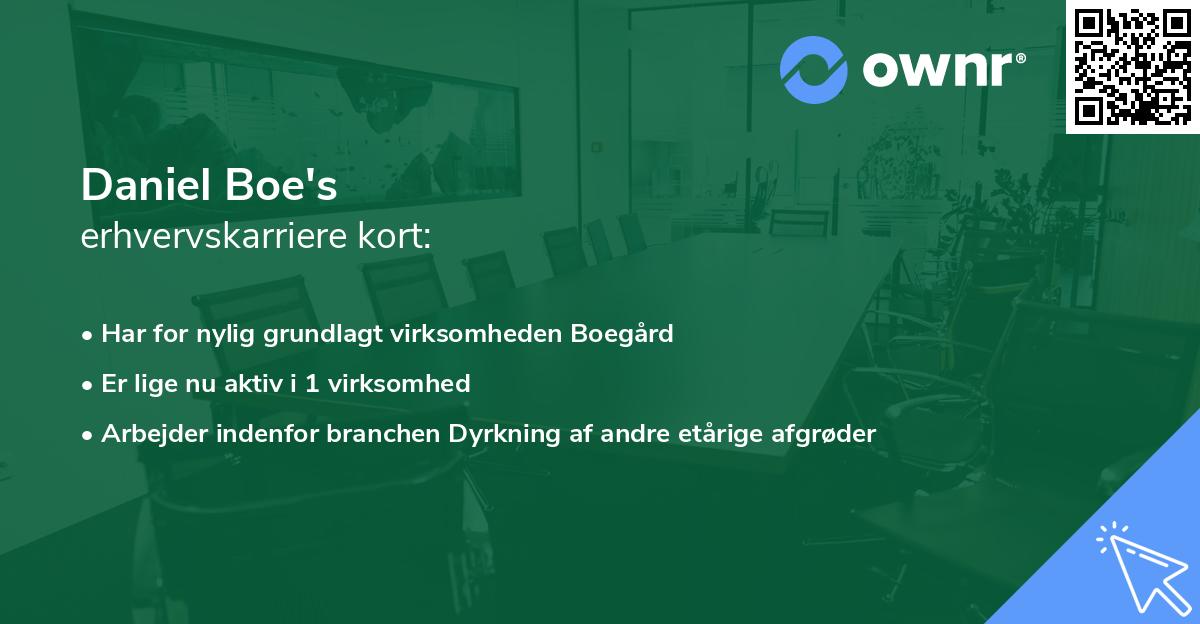 Daniel Boe's erhvervskarriere kort