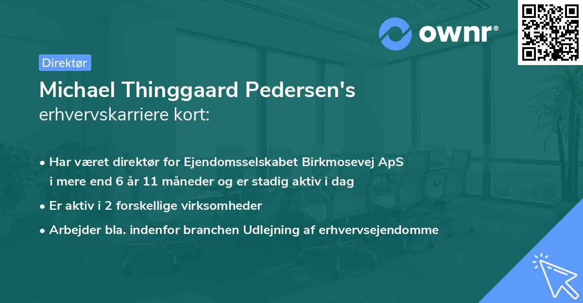Michael Thinggaard Pedersen's erhvervskarriere kort