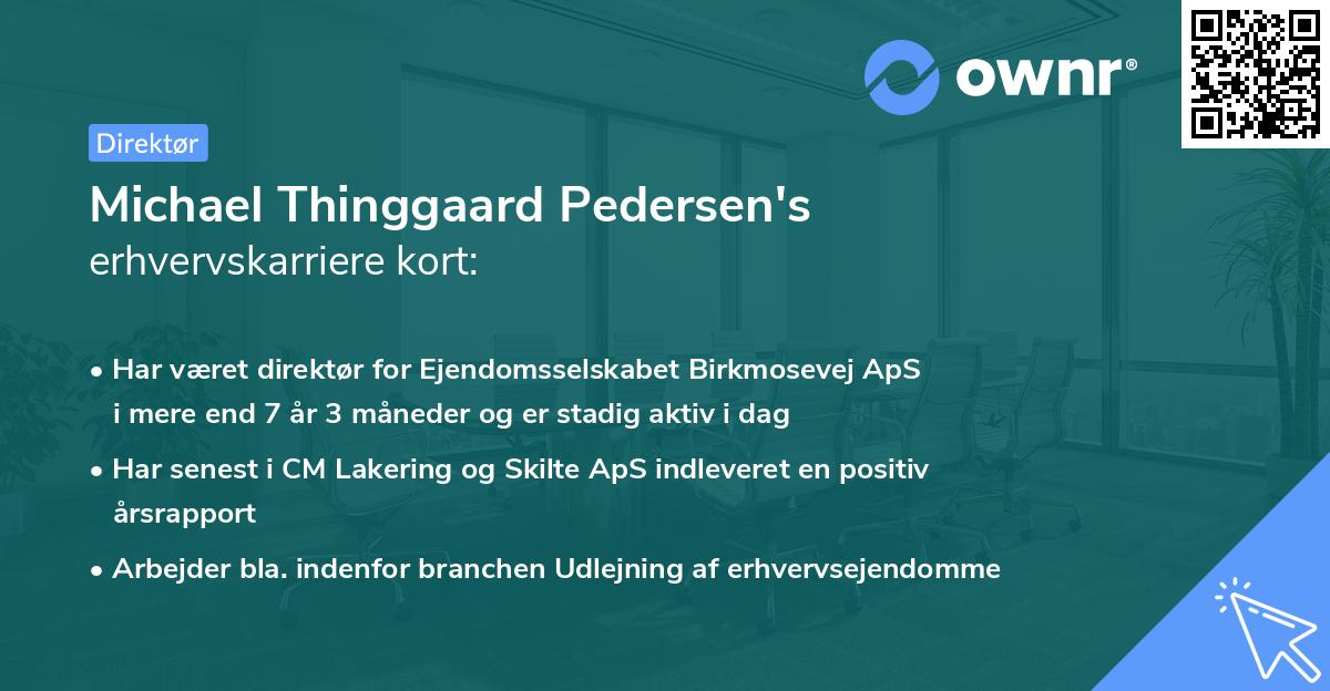 Michael Thinggaard Pedersen's erhvervskarriere kort