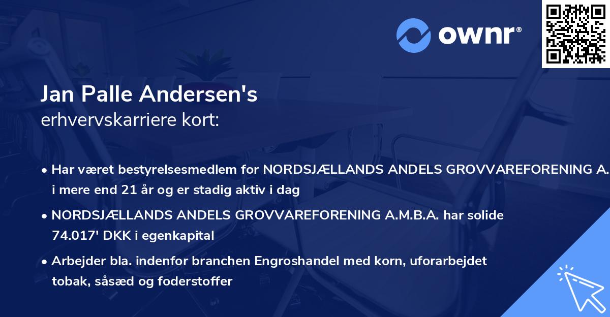 Jan Palle Andersen's erhvervskarriere kort
