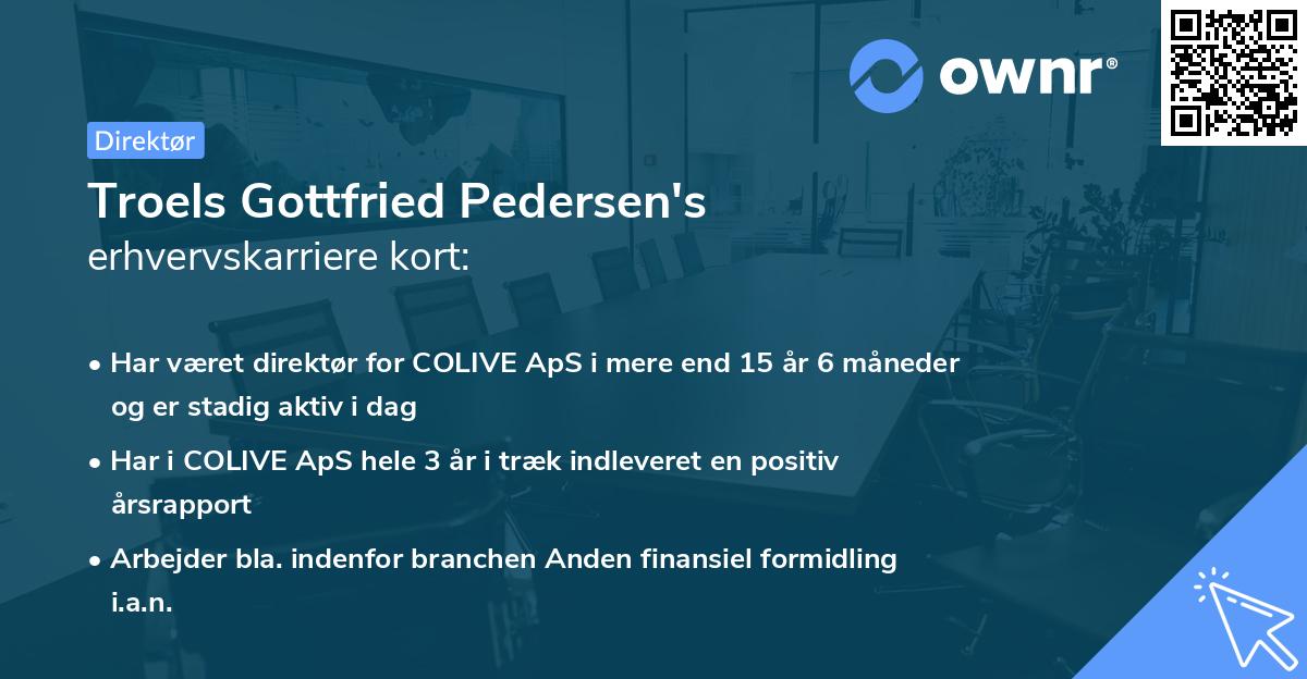 Troels Gottfried Pedersen's erhvervskarriere kort