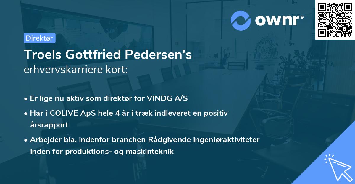 Troels Gottfried Pedersen's erhvervskarriere kort