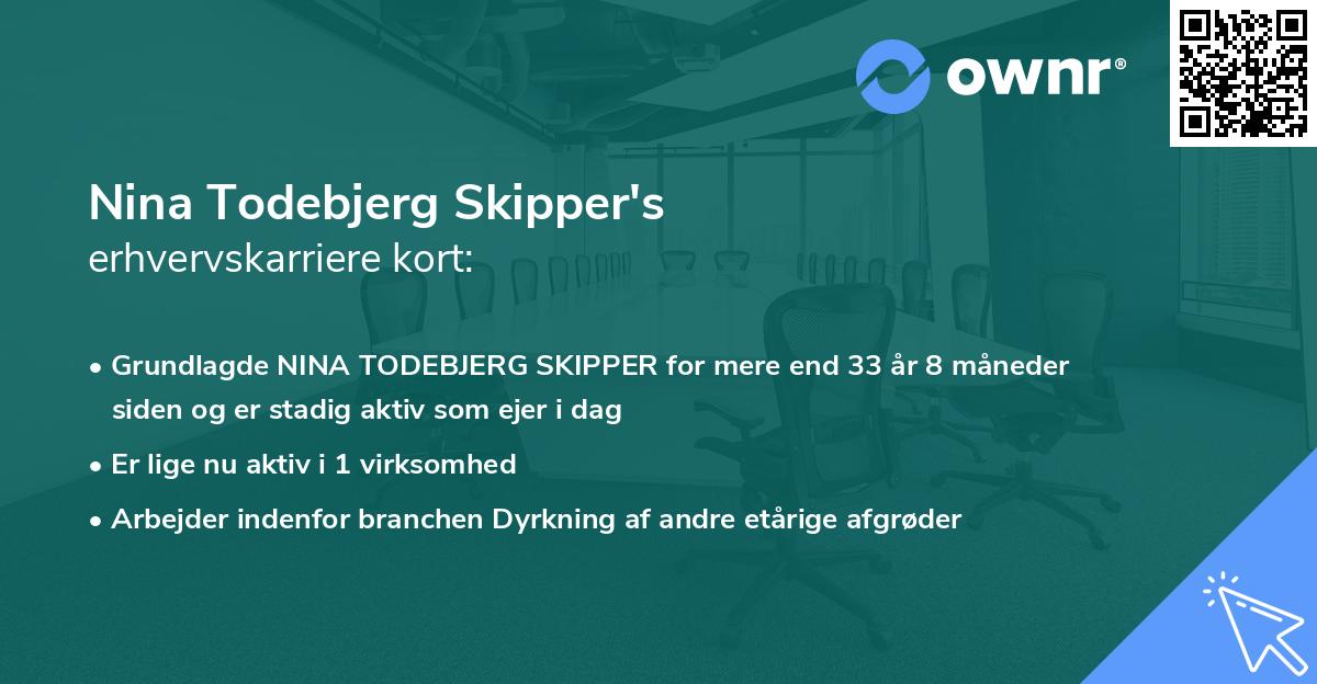 Nina Todebjerg Skipper's erhvervskarriere kort