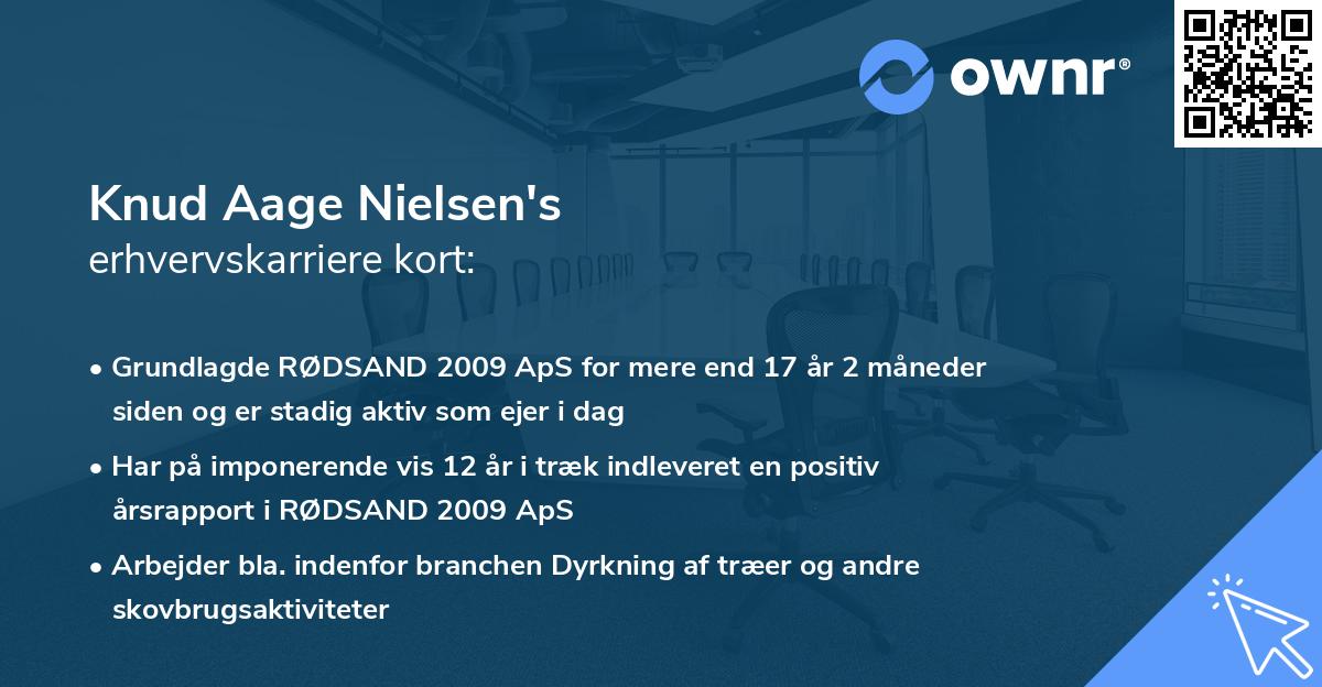 Knud Aage Nielsen's erhvervskarriere kort