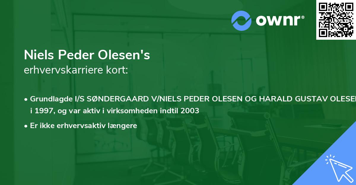 Niels Peder Olesen's erhvervskarriere kort