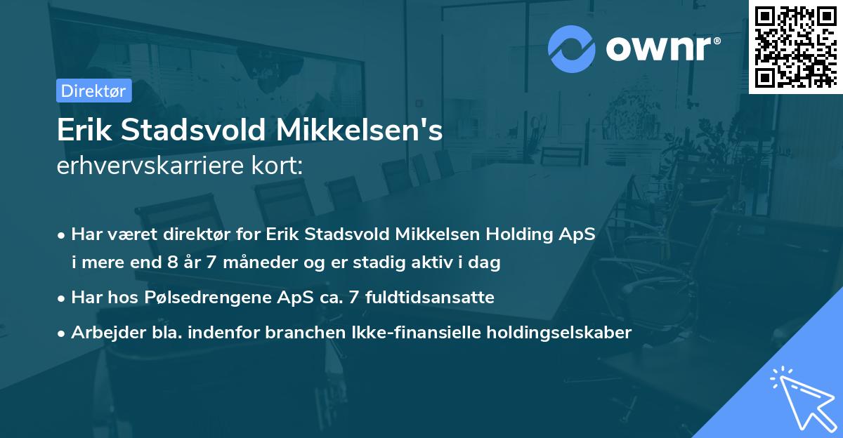 Erik Stadsvold Mikkelsen's erhvervskarriere kort
