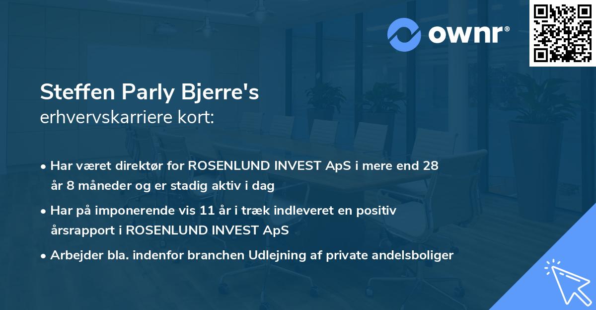 Steffen Parly Bjerre's erhvervskarriere kort