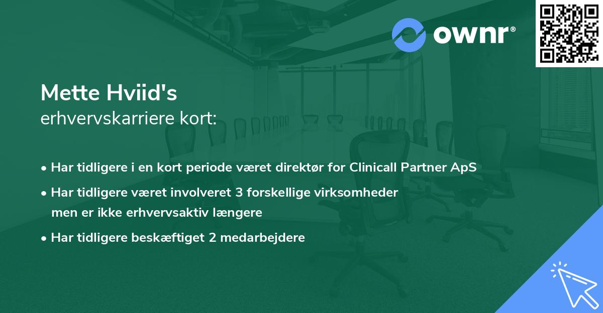 Mette Hviid's erhvervskarriere kort