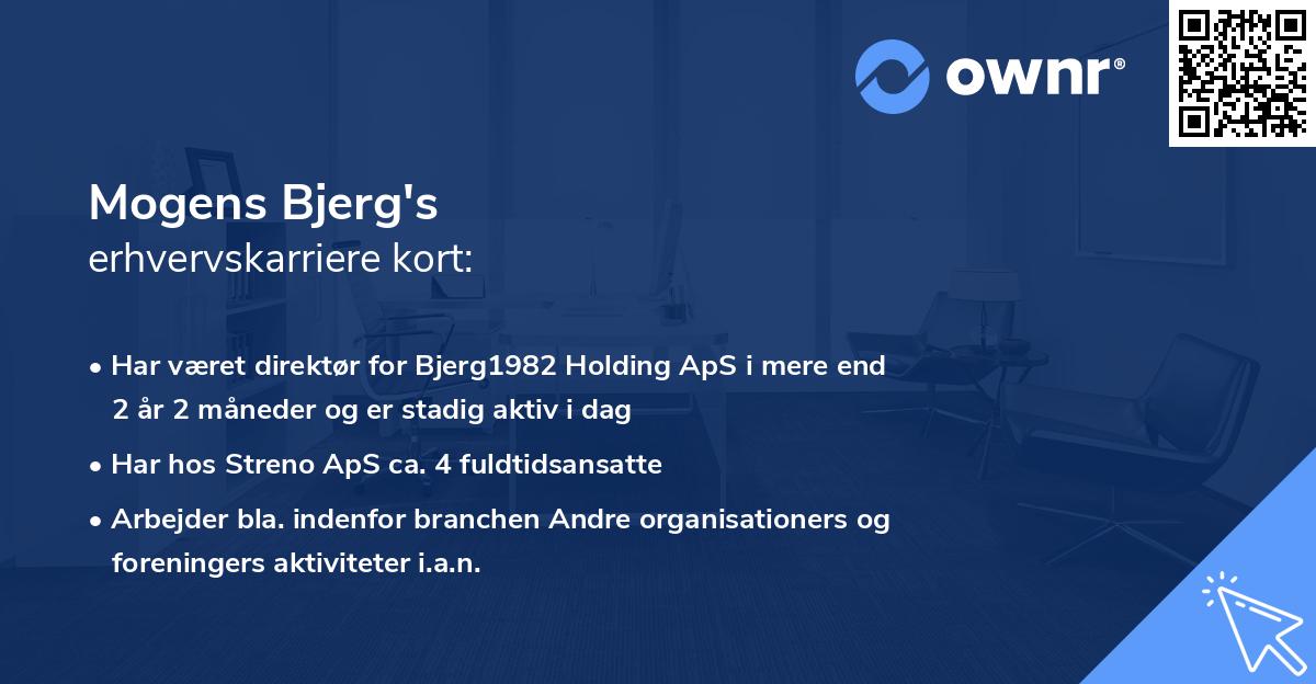 Mogens Bjerg's erhvervskarriere kort