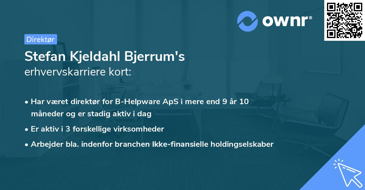 Stefan Kjeldahl Bjerrum's erhvervskarriere kort