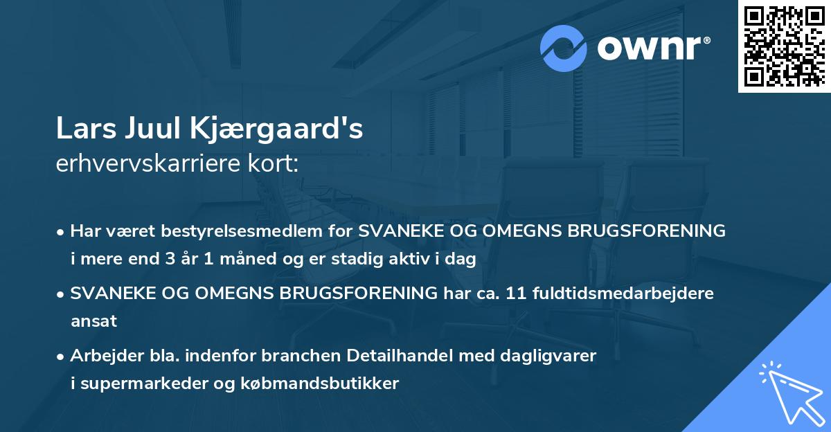 Lars Juul Kjærgaard's erhvervskarriere kort