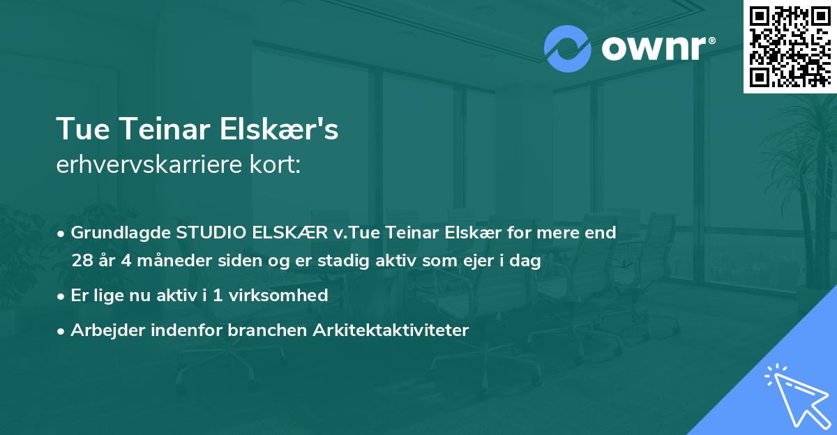 Tue Teinar Elskær's erhvervskarriere kort
