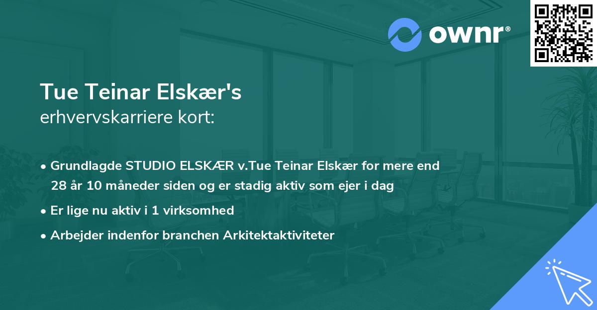 Tue Teinar Elskær's erhvervskarriere kort