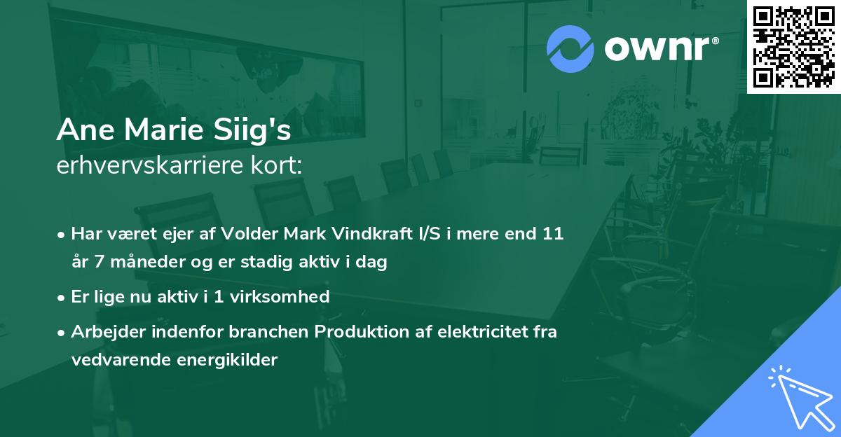 Ane Marie Siig's erhvervskarriere kort