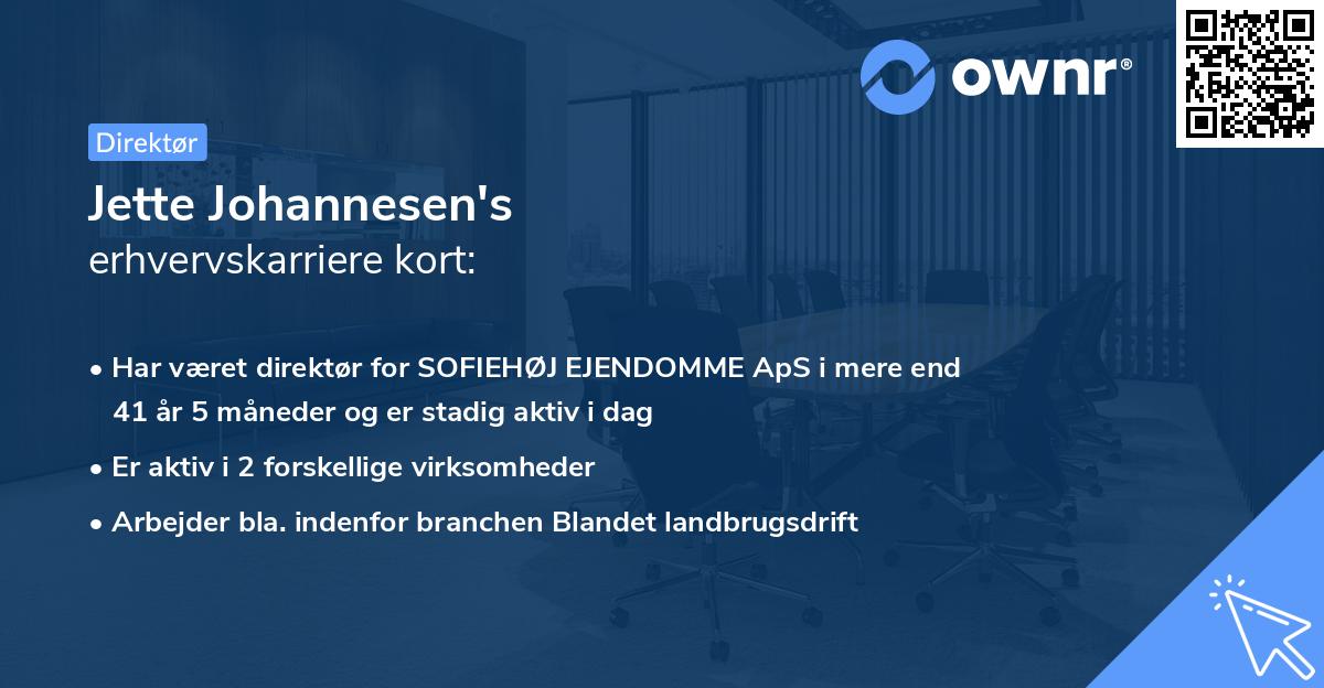 Jette Johannesen's erhvervskarriere kort