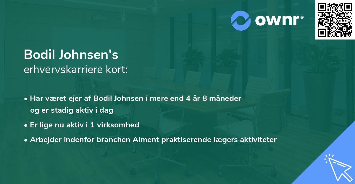 Bodil Johnsen's erhvervskarriere kort