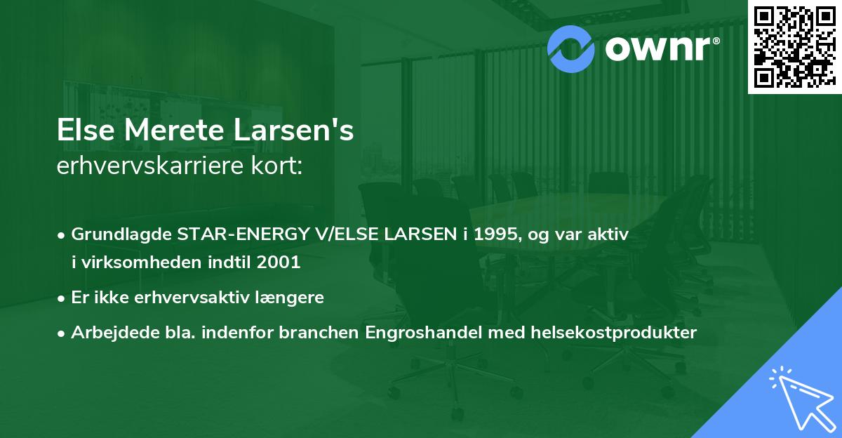 Else Merete Larsen's erhvervskarriere kort