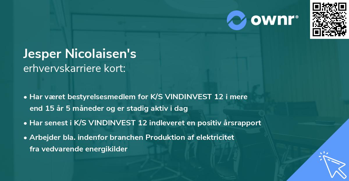 Jesper Nicolaisen's erhvervskarriere kort