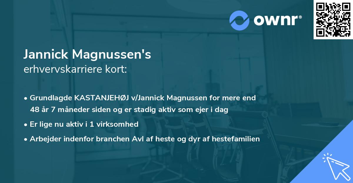Jannick Magnussen's erhvervskarriere kort