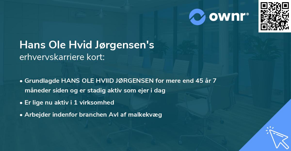Hans Ole Hvid Jørgensen's erhvervskarriere kort