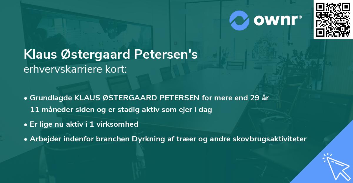 Klaus Østergaard Petersen's erhvervskarriere kort
