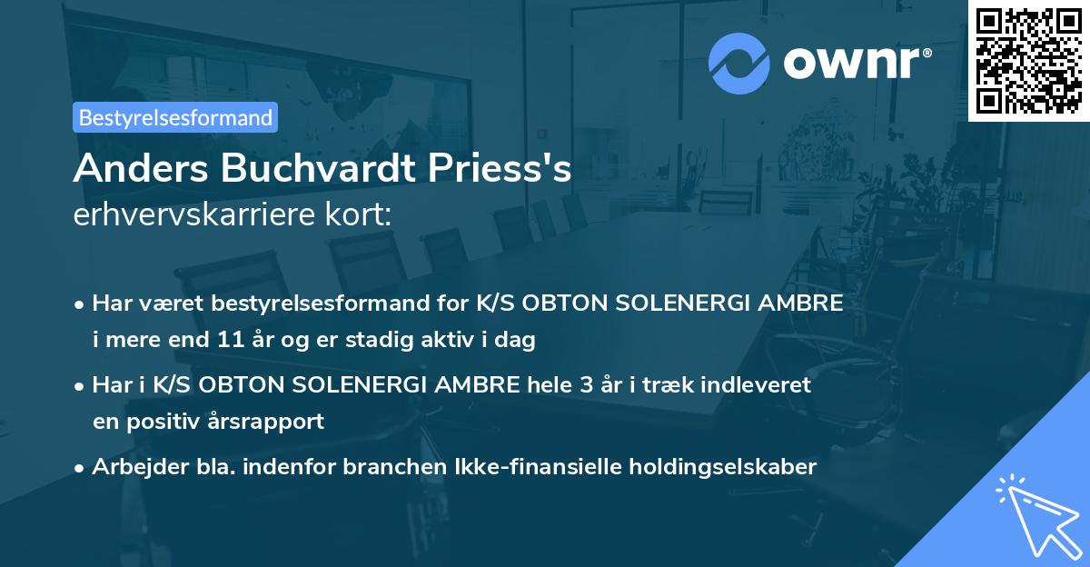Anders Buchvardt Priess's erhvervskarriere kort