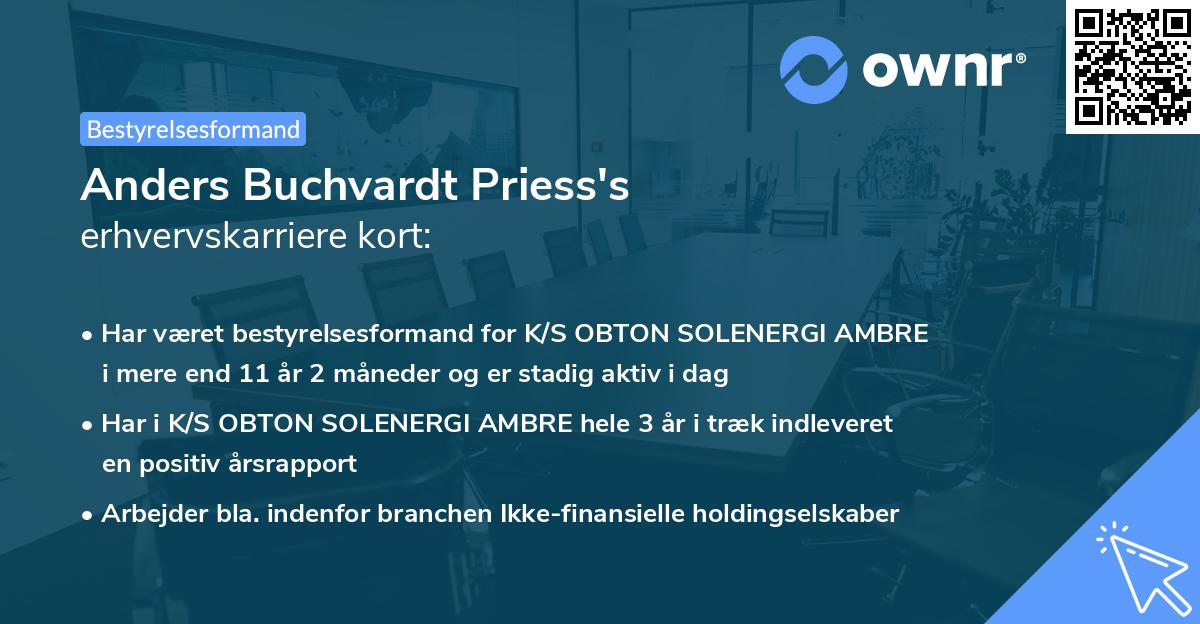 Anders Buchvardt Priess's erhvervskarriere kort