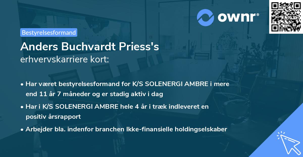 Anders Buchvardt Priess's erhvervskarriere kort
