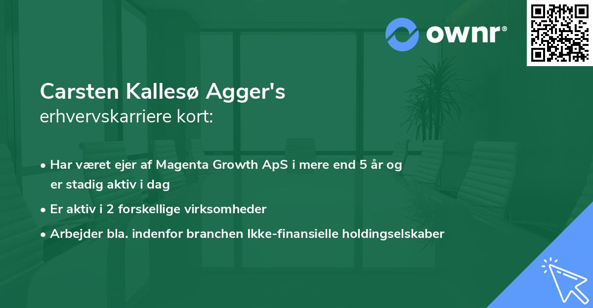 Carsten Kallesø Agger's erhvervskarriere kort