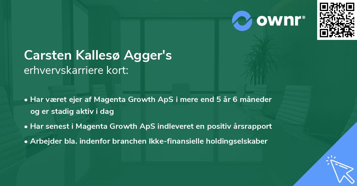 Carsten Kallesø Agger's erhvervskarriere kort