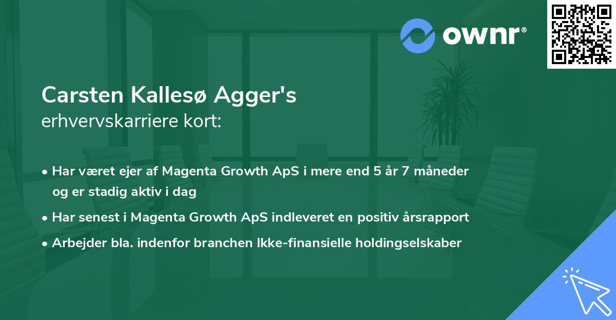 Carsten Kallesø Agger's erhvervskarriere kort
