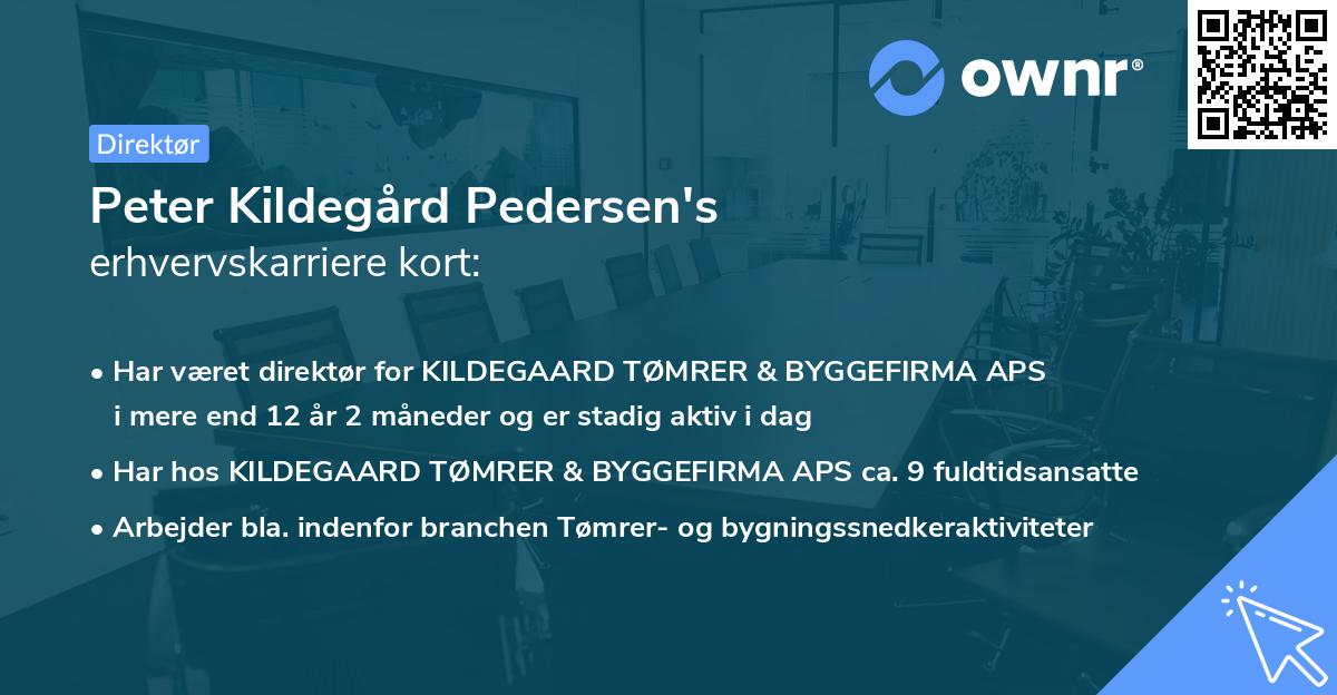 Peter Kildegård Pedersen's erhvervskarriere kort