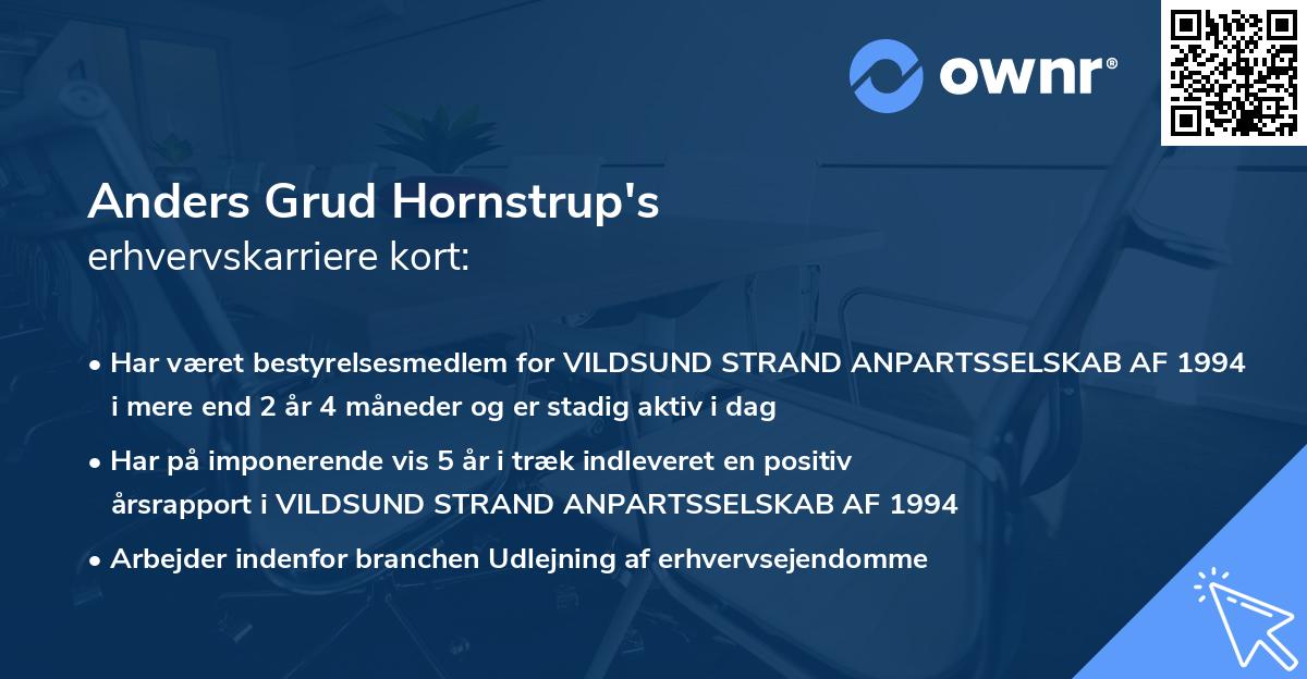 Anders Grud Hornstrup's erhvervskarriere kort
