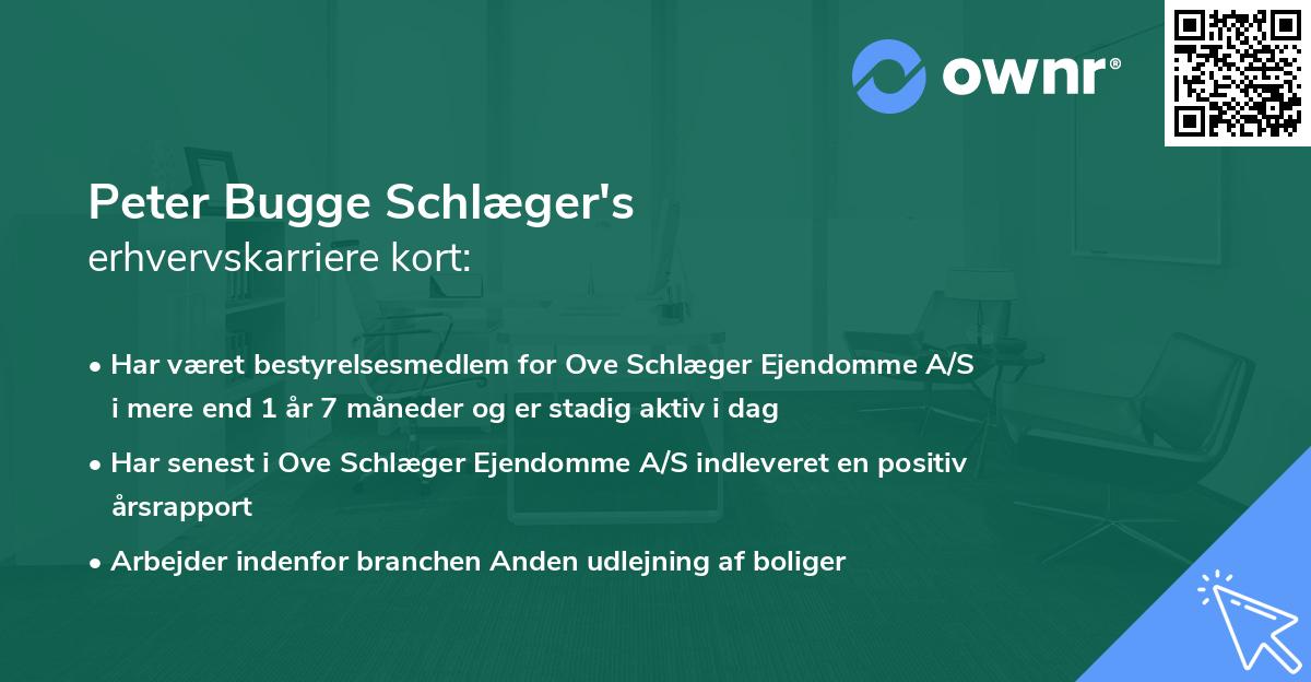 Peter Bugge Schlæger's erhvervskarriere kort