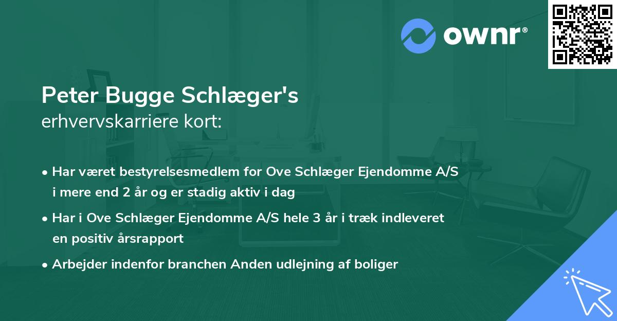 Peter Bugge Schlæger's erhvervskarriere kort