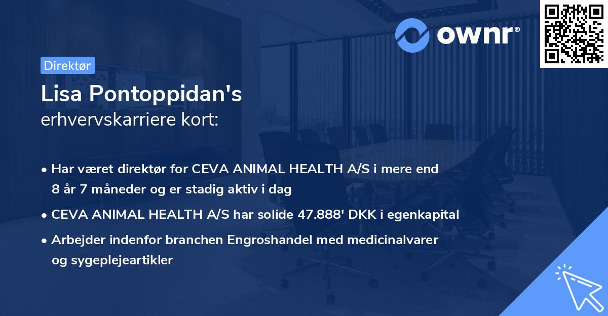 Lisa Pontoppidan's erhvervskarriere kort