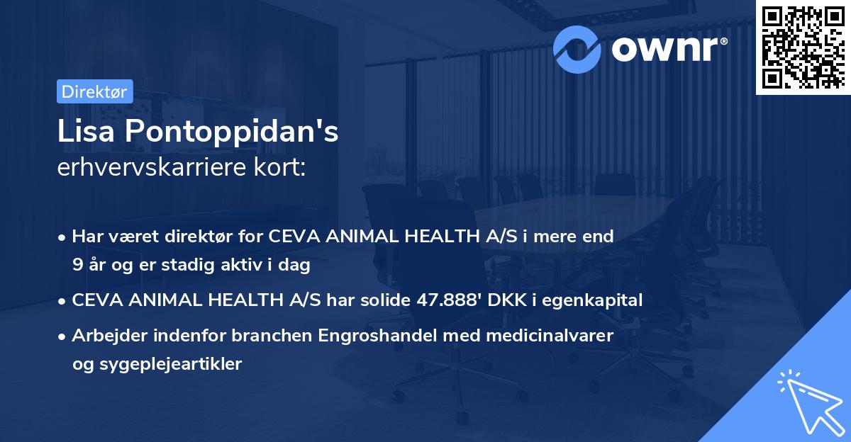 Lisa Pontoppidan's erhvervskarriere kort