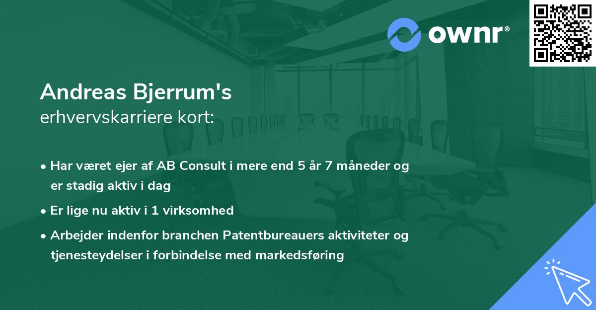 Andreas Bjerrum's erhvervskarriere kort