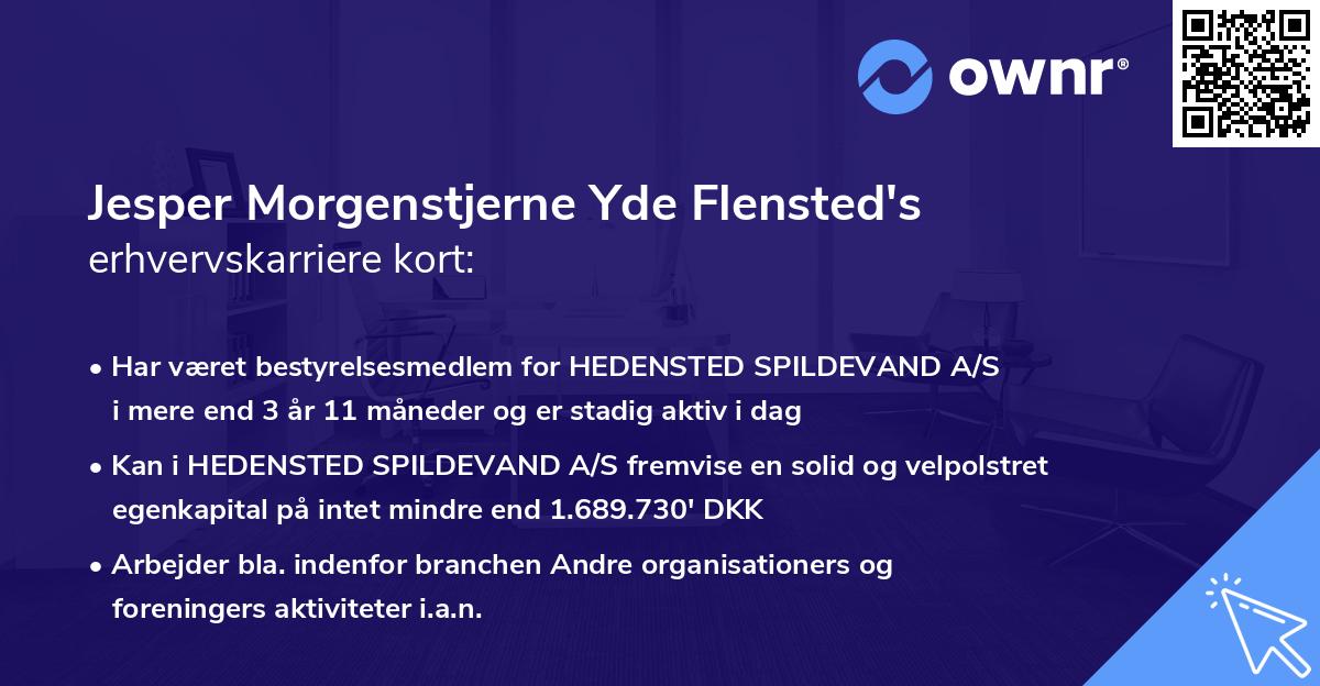 Jesper Morgenstjerne Yde Flensted's erhvervskarriere kort