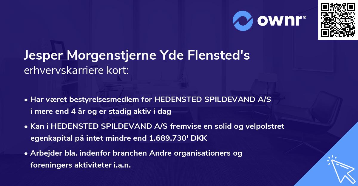 Jesper Morgenstjerne Yde Flensted's erhvervskarriere kort