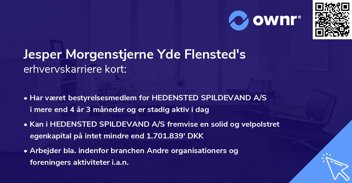 Jesper Morgenstjerne Yde Flensted's erhvervskarriere kort