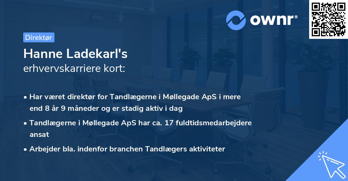 Hanne Ladekarl's erhvervskarriere kort