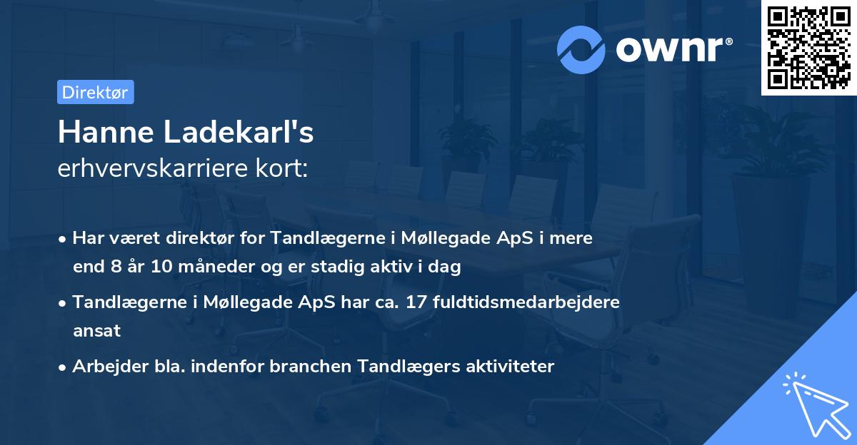 Hanne Ladekarl's erhvervskarriere kort
